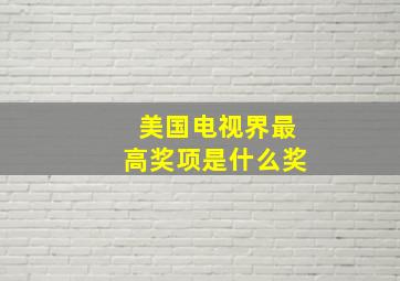 美国电视界最高奖项是什么奖