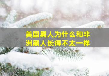 美国黑人为什么和非洲黑人长得不太一样