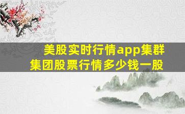 美股实时行情app集群集团股票行情多少钱一股