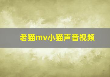 老猫mv小猫声音视频