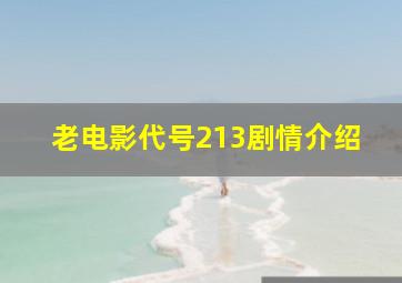 老电影代号213剧情介绍