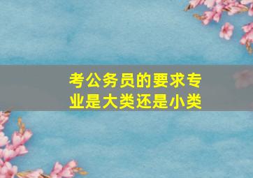 考公务员的要求专业是大类还是小类