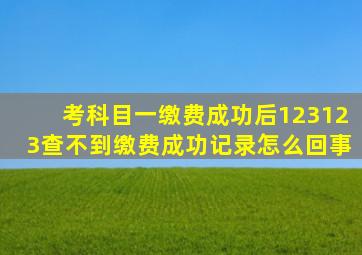 考科目一缴费成功后123123查不到缴费成功记录怎么回事