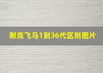 耐克飞马1到36代区别图片