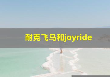 耐克飞马和joyride