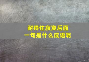 耐得住寂寞后面一句是什么成语呢