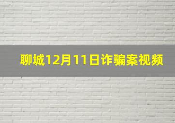 聊城12月11日诈骗案视频