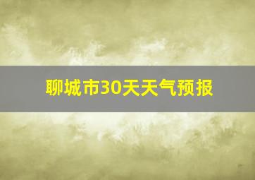 聊城市30天天气预报