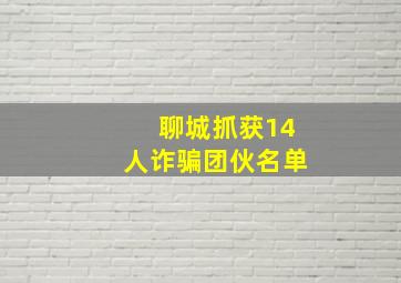 聊城抓获14人诈骗团伙名单