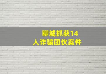 聊城抓获14人诈骗团伙案件