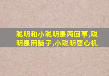 聪明和小聪明是两回事,聪明是用脑子,小聪明耍心机