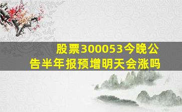 股票300053今晚公告半年报预增明天会涨吗