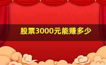 股票3000元能赚多少