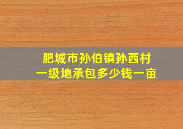 肥城市孙伯镇孙西村一级地承包多少钱一亩