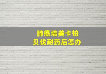 肺癌培美卡铂贝伐耐药后怎办