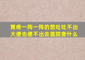 胃疼一阵一阵的想吐吐不出大便也便不出去医院查什么