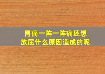 胃痛一阵一阵痛还想放屁什么原因造成的呢