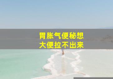 胃胀气便秘想大便拉不出来