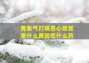 胃胀气打嗝恶心放屁是什么原因吃什么药