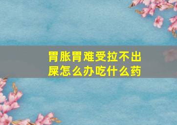 胃胀胃难受拉不出屎怎么办吃什么药