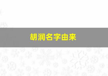 胡润名字由来