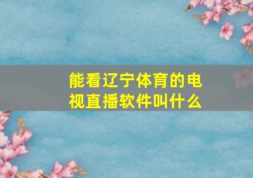 能看辽宁体育的电视直播软件叫什么