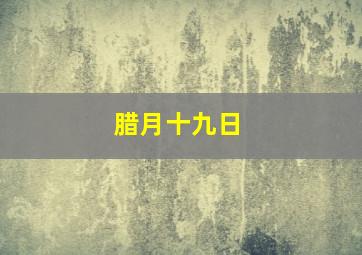 腊月十九日