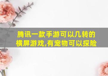 腾讯一款手游可以几转的横屏游戏,有宠物可以探险