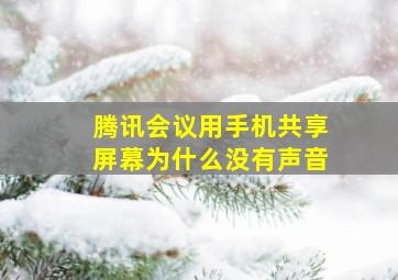 腾讯会议用手机共享屏幕为什么没有声音