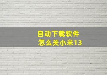 自动下载软件怎么关小米13