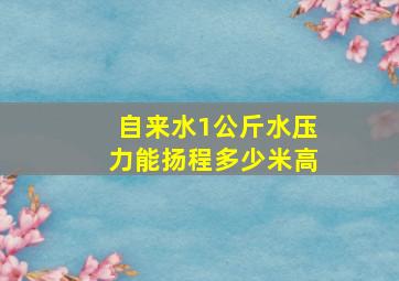 自来水1公斤水压力能扬程多少米高