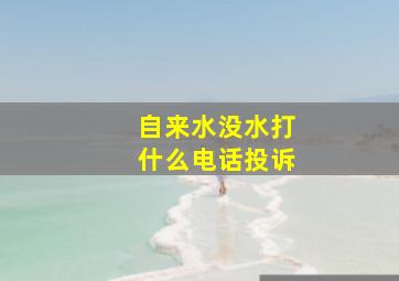 自来水没水打什么电话投诉