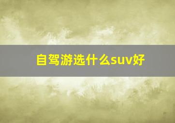 自驾游选什么suv好