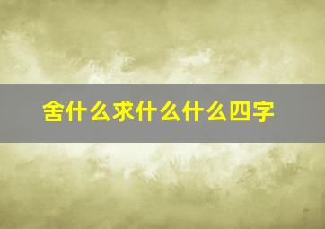 舍什么求什么什么四字