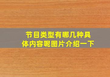 节目类型有哪几种具体内容呢图片介绍一下