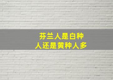 芬兰人是白种人还是黄种人多