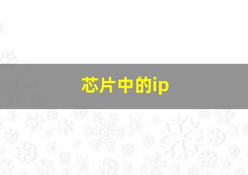 芯片中的ip