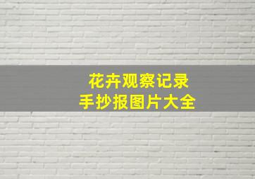 花卉观察记录手抄报图片大全