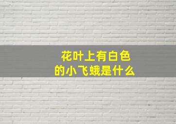 花叶上有白色的小飞蛾是什么