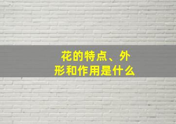 花的特点、外形和作用是什么