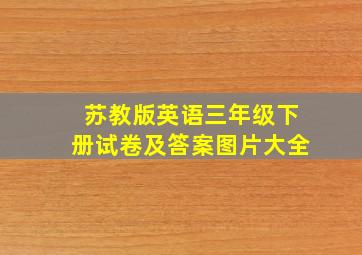 苏教版英语三年级下册试卷及答案图片大全