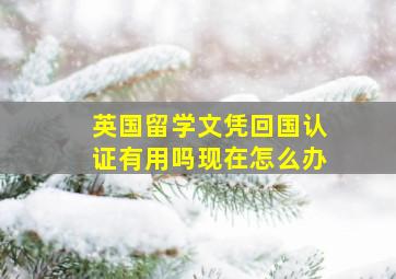 英国留学文凭回国认证有用吗现在怎么办