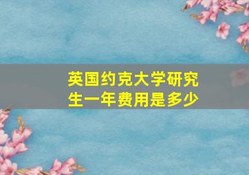 英国约克大学研究生一年费用是多少