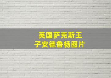 英国萨克斯王子安德鲁杨图片