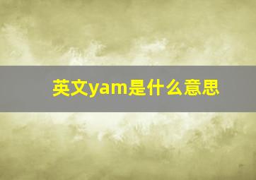 英文yam是什么意思