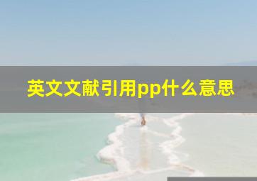 英文文献引用pp什么意思