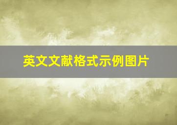 英文文献格式示例图片