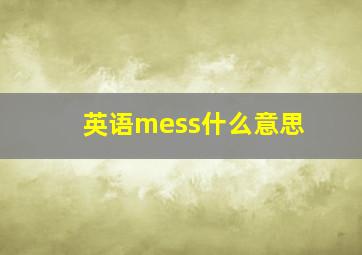 英语mess什么意思