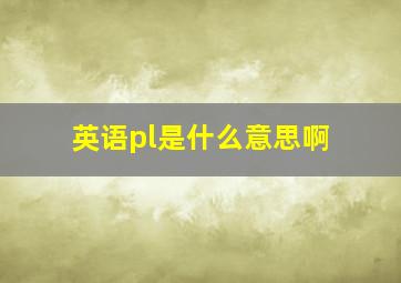 英语pl是什么意思啊