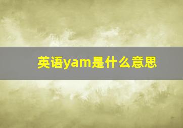 英语yam是什么意思